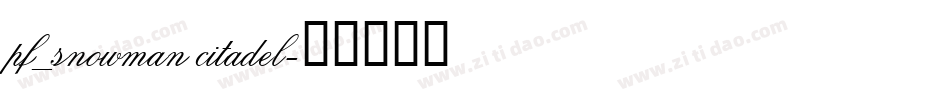 pf_snowman citadel字体转换